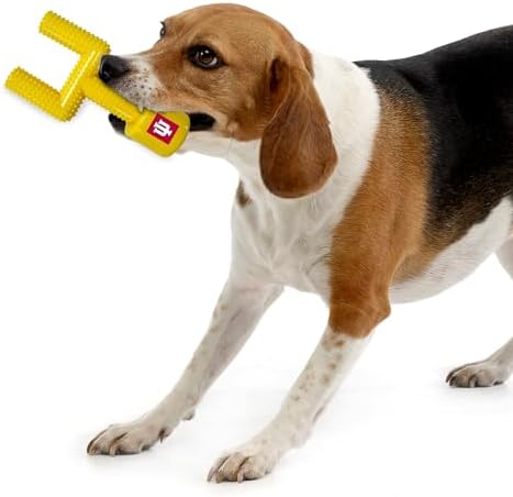 NCAA Indiana Hoosiers Mega-Chew Hard Nylon Bacon-Flavored Dog Bone Football Goal-Post Chew Toy. Interactive, Tasty & Fun Dog Chew Toy. Indestructible, Strong, Tough & Durable Pet Chew Toys