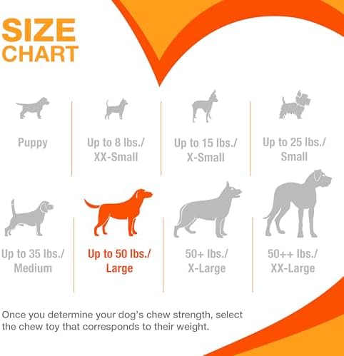 Nylabone Power Chew Dental Groove Bone Dog Chew Toy, Bacon Flavor, Large