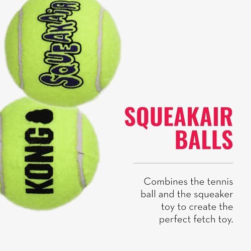 KONG Cozie Ali Alligator and SqueakAir Balls, 3 Pack, for Small Dogs