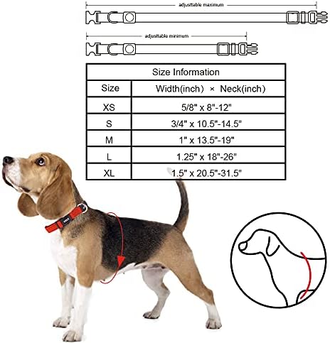 Dog Collar Bundle for Small Dogs (Width- 3/4", Neck - 10.5"-14.5") | Athletica Adjustable Orange & Red Dog Collar | No-Choke Vest with Lightweight Reflective Air Mesh
