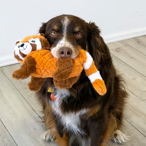 KONG Scampers Wildlife Plush Dog Toy with Low Tone Squeaker (Lion/Red Panda Combo)