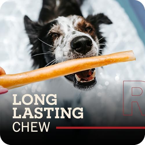 Redbarn Pet Products 100% Natural Large 12" Beef Collagen Sticks for Dogs - Long Lasting Low-Odor Alternative to Traditional Rawhide & Bully Sticks-Supports Healthy Joints, Skin, & Coat - 6 Count