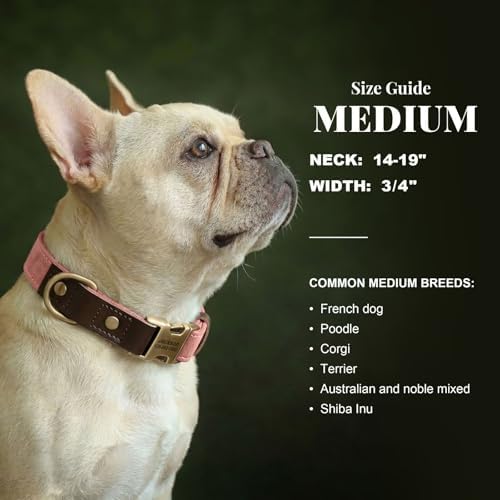 Personalized PU Leather Dog Collars, Quick Release Buckle, Pink,M