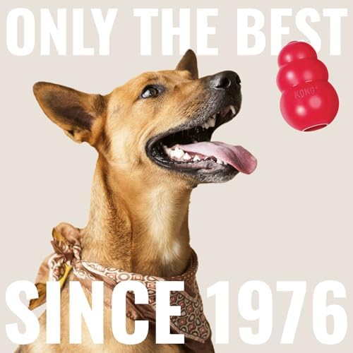 KONG Cozie Ali Alligator and SqueakAir Balls, 3 Pack, for Medium Dogs