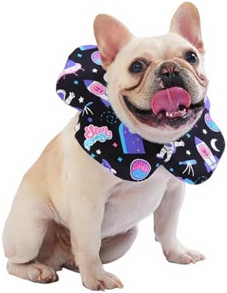 PetWarm Dog Recovery Collar, Recovery Collar, Purple Cosmic Print, L