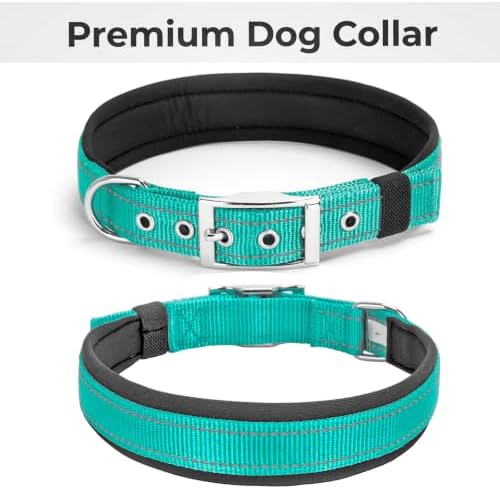 Reflective Dog Collar for XLarge Dogs Wide Padding 6 Holes Adjusta