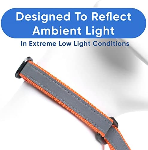 Pawtitas Personalized Dog Collar Martingale Dog Collar with Name Phone Number Reflective Martingale Dog Collar Customized Collar for Medium Dogs | Orange Custom Dog Collars for Medium Dogs