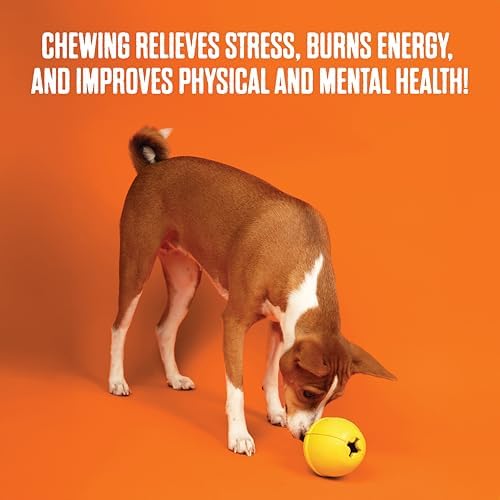 BULLYMAKE Toss N Treat Keg Dog Toy, Treat Dispensing, Tough Rubber Dog Toy