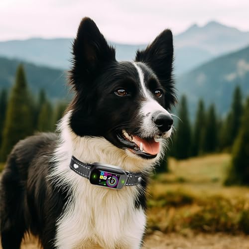 Dog Bark Collar: Smart Vibration, Color Screen, Waterproof, Reflective Nylon Strap, Adjustable for Small Dogs