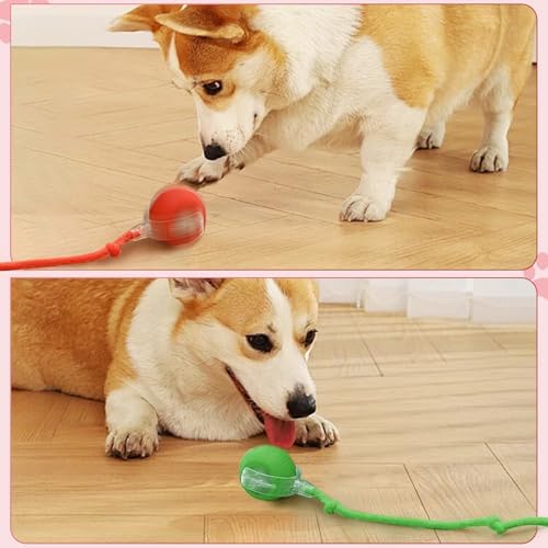 New Interactive Rolling Dog Ball, 360° Smart Interactive Pet Toy Ball, Self Rolling Dog Ball Toys, Electric Balls for Small Medium Dogs Cats (Red&Grey 2PCS/Set)