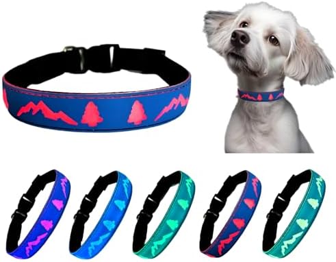 Personalized Light up Dog Collars Rechargeable with Waterproof airtag Holder for Black Dog Night Walking (Blue Collar 15 Modes Lighting, L(15.7-19.7"))