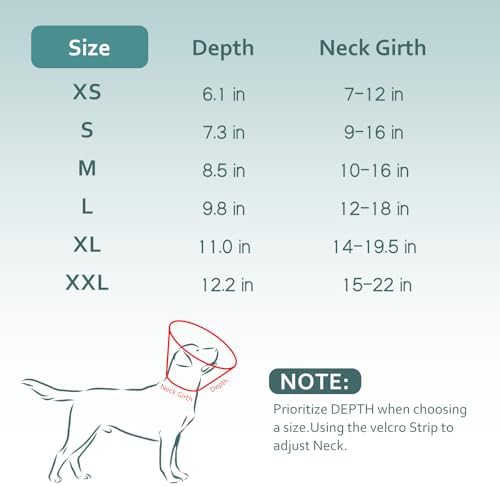 Dog Cone Collar with Snap-on Detachable Soft Liner, Lightweight Transparent Elizabethan Alternative to Stop Licking, for Spay Neuter Surgery Recovery, for Medium Large Small Dogs (Green,2XL)