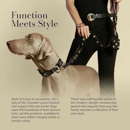 DOGISTRY - The Fi Rockstar Collar - GPS Dog Collar Band - Small