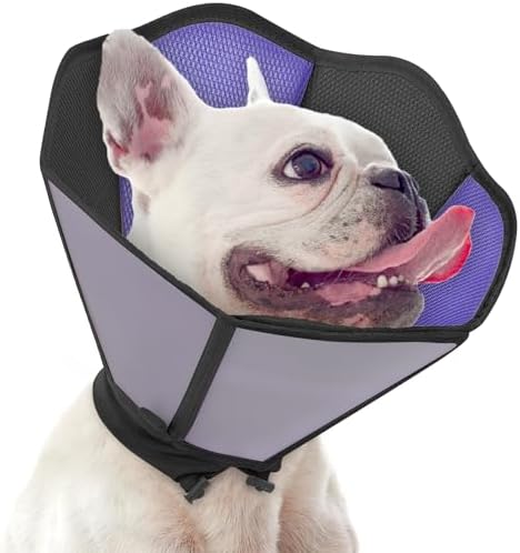 Dog Cone - Soft Cone for Dogs to Stop Licking