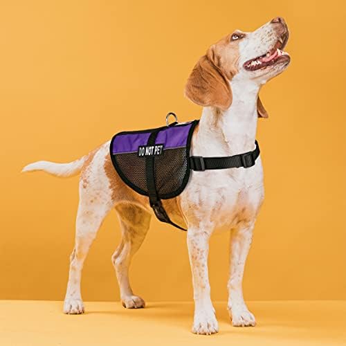 Dogline Do Not Pet Vest Patches – Removable Do Not Pet Patch 2-Pack with Reflective Printed Letters for Support Dog Vest Harness Collar or Leash Size C (2" x 6")
