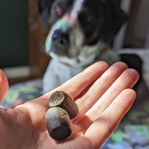Hemp Well Thrive Dog Soft Chews with Organic Hemp, Omega 3 & 6, 8 Count