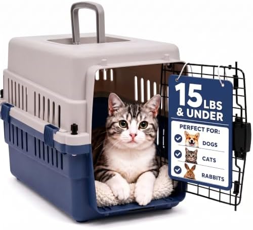 Hard-Sided Pet Carrier for Cats and Small Dogs, 20" Sturdy Travel Kennel with Secure Wire Door & 360° Ventilation, Portable Plastic Crate for Vet Visits & Car Travel (Blue/Grey)