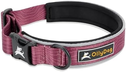 OllyDog Flagstaff Reflective Comfort Collar, Neoprene Padded Dog Collar, Reflective Trims for Night Runs, Extra Comfort for Active Dogs (Medium, Rosewood Woodgrain)