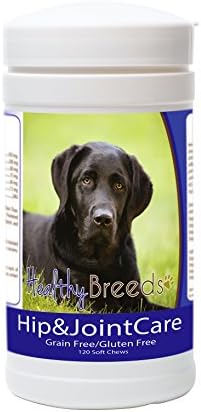 Healthy Breeds Labrador Retriever Hip and Joint Care 120 Count