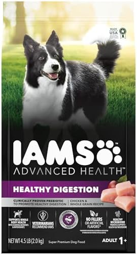 IAMS Advanced Health Healthy Digestion Dry Dog Food, Chicken, 4.5 lb