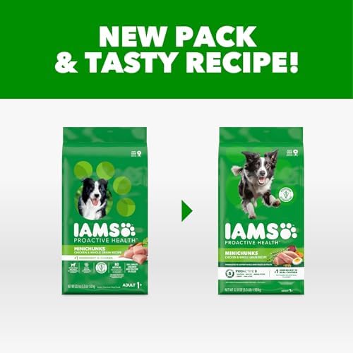 IAMS Proactive Health Adult Minichunks Dry Dog Food, Chicken, 3.3 lb
