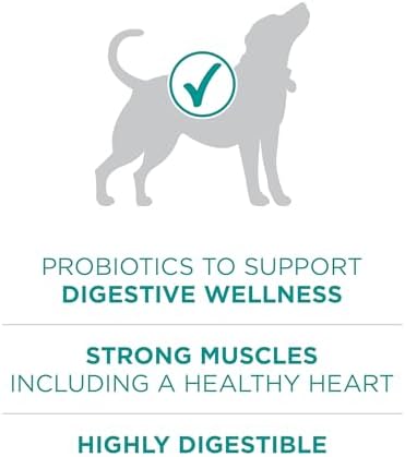 Purina ONE Plus Digestive Health Dry Dog Food, Chicken, 31.1 lb Bag