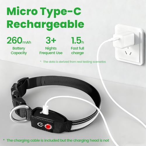 Auto Light Up Dog Collar - Smart Safety Night Collar with Motion Sensor - Auto-On in Dark - USB-C Rechargeable - 3 Day Runtime- IP65 Waterproof (M 15-20“)