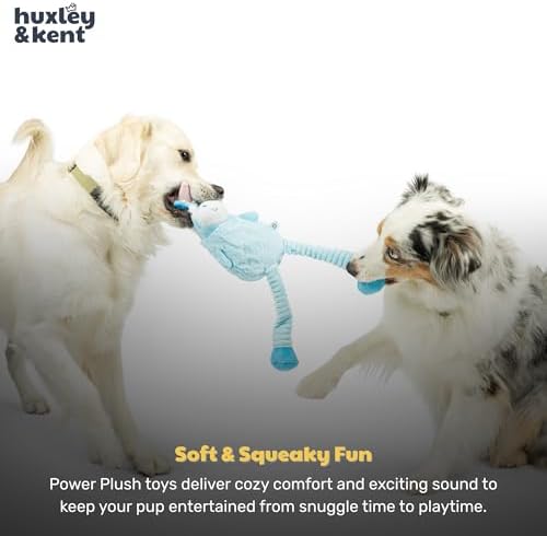 Huxley & Kent Funny Dog Toy w/Squeaker – Power Plush Squeaky Dog Toys for Small, Medium & Large Dogs – Soft Stuffed Animal for Indoor Play & Fetch - Squeak to Crunch - Lankies Luna Unicorn, Small
