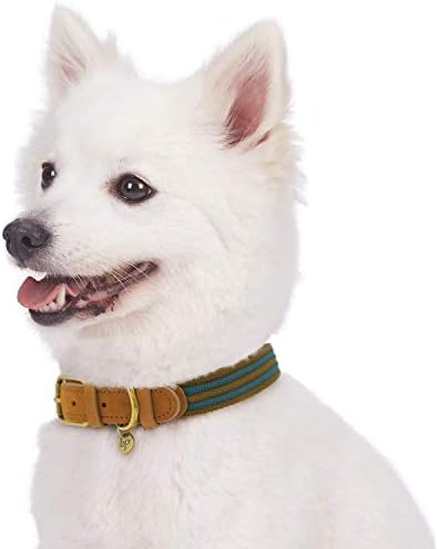 Blueberry Pet Soft & Comfy Genuine Full Grain Leather & Polyester Combo Adjustable Dog Collar - Classic Staple Striped in Navy and Olive, Small, Neck 12"-15"