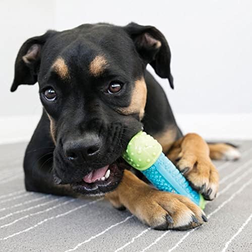 KONG CoreStrength Bone, Multi-Layered Dental Toy, for Small/Medium Dogs