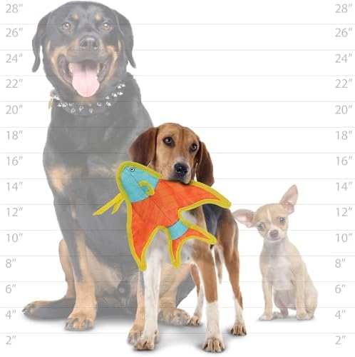 Tuffy® - DuraForce® : Angel Fish Dog Toy: Ultra Durable Plush Toy with Multiple Layers & Reinforced Seams, Washable and Floats, DuraForce® Construction
