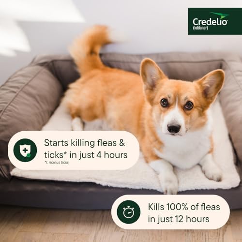 Credelio (lotilaner) Tick & Flea Treatment for Dogs 12.1-25.0 lbs., 1ct