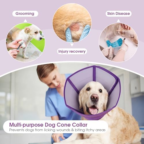 Allroaring Dog Recovery Cone Waterproof Plastic Elizabethan Collar Purple L