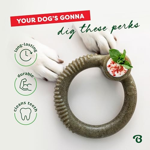 Benebone Ring Dog Chew Toy for Aggressive Chewers, Peppermint, Small