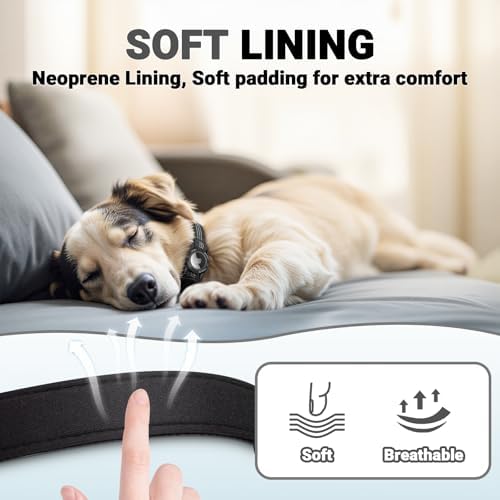 AirTag Dog Collar, IP68 Waterproof Integrated Air Tag Dog Collars