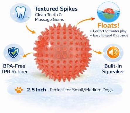 Squeaky Spiky Dog Ball for Teeth Cleaning & Gum Massage 2.5 Inch Small Medium Dogs Red | Spiny TPR Rubber Chew Toy for Fetch Play Interactive Bouncy Dental Ball Durable BPA Free Nontoxic Floats