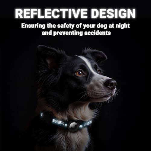 AirTag Dog Collar and Leash, IP68 Waterproof Integrated