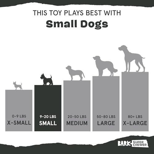 Barkbox Green Chew Leaf Dog Toy for Small Dogs – 2-in-1 Design with Mixed Textures and Surprises, Perfect for Tough Chewing and Playful Pups
