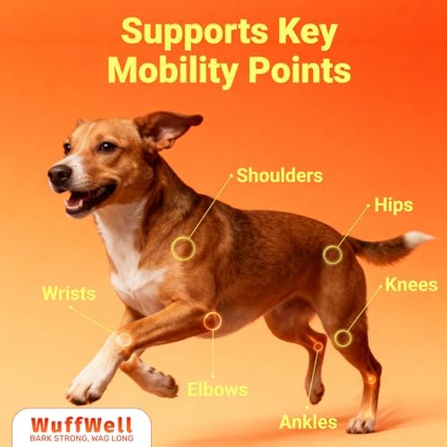 WuffWell Liquid Joint Support for Dogs, USA Made - Liquid Glucosamine
