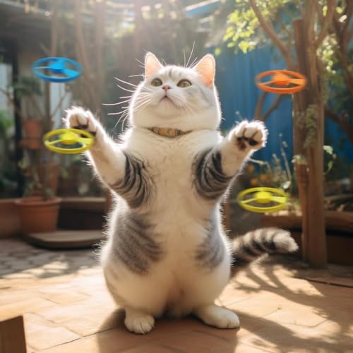 Cat Fetch Toy, Interactive Flying Cat Toy with 20 Flying Propellers, Kitten Tracks Toy for Training Hunting Chasing(Blue)
