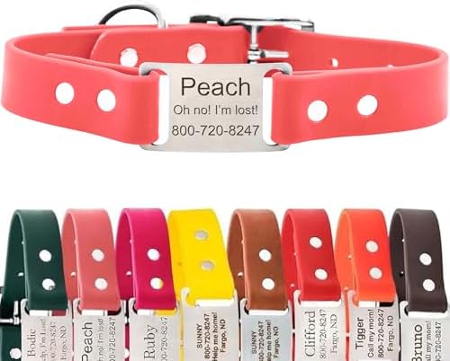 dogIDs Personalized Dog Collar – ScruffTag Custom Waterproof Biothane Dog Collar with Laser-Engraved Name, Durable & Odor-Resistant – USA Made | Coral, 3/4 in x 14 in (Fits Neck Sizes 12-16 in)