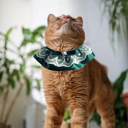 Cat Lace Collar Necklace with Pearl Bow, Adjustable Polyester