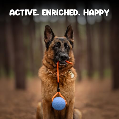 Dog Ball Toy with Rope, Durable EVA Foam Floating Dog Toy, Interactive Fetch & Toss n’ Train Tug Ball for Dogs, Bouncy Pet Ball for Outdoor Indoor Play - Blue, Medium