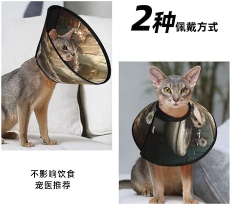 Custom Pet Cones - Unique Design Cat & Dog Cone, Collar for Post-Surgery Recovery, Adjustable Neck Smart Hedgehog Medium