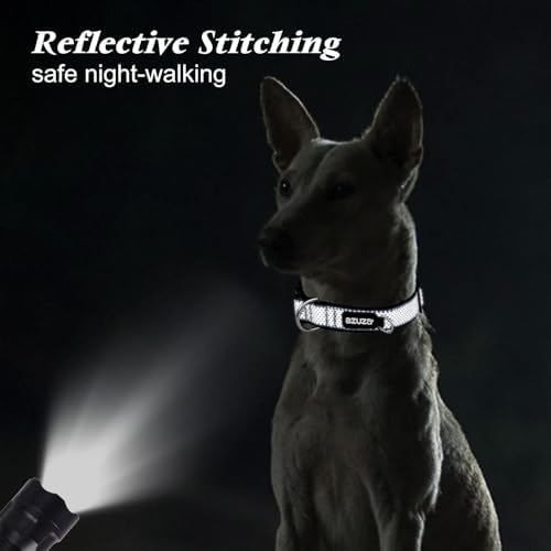 azuza Airtag Dog Collar, Large Dog Collar with Airtag Holder, Dark Blue, L