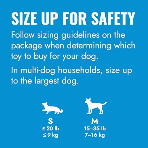 KONG Puppy Goodie Bone, Natural Rubber Chew, for Small Puppies, Blue