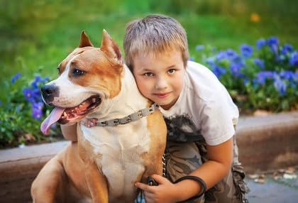 Immediate, Natural Relief with Witch Hazel Dog and Cat Ear Cleaner. Quickly Relieves Ear Infection Symptoms in 3-5 Days. 4 oz. Easy, 1-Step