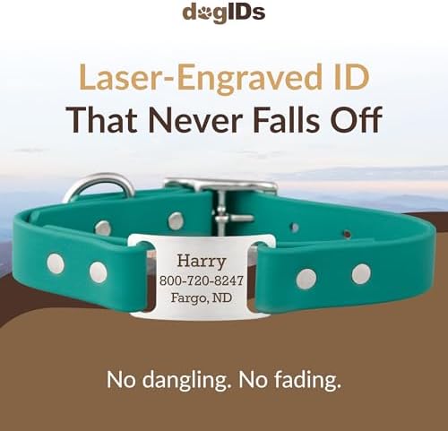 dogIDs Personalized Dog Collar – ScruffTag Custom Waterproof Biothane Dog Collar with Laser-Engraved Name, Durable & Odor-Resistant – USA Made | Teal, 1 in x 16 in (Fits Neck Sizes 14-18 in)