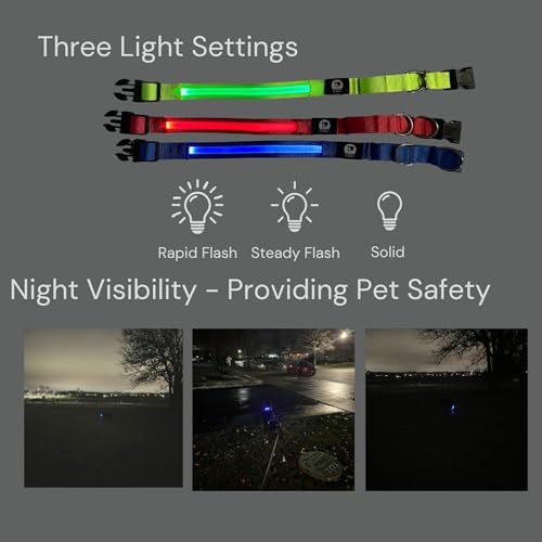 Light-Up Martingale Training Adjustable Dog Puppy Collar - REMIPET - Waterproof, LED Illuminated, USB Rechargeable, Reflective Safety, Durable, Nylon, Gift (Green, Xtra-Large)