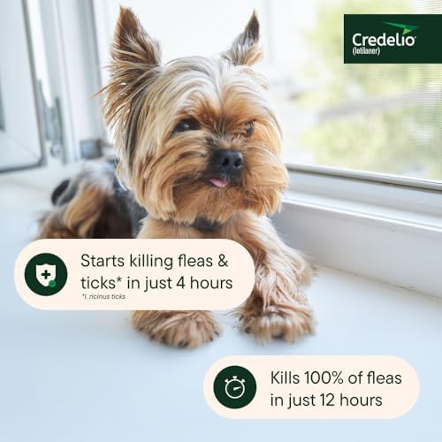 Credelio (lotilaner) Tick & Flea Treatment for Dogs 4.4-6 lbs., 6ct